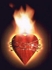 AMO-TE MEU AMOR - mms
